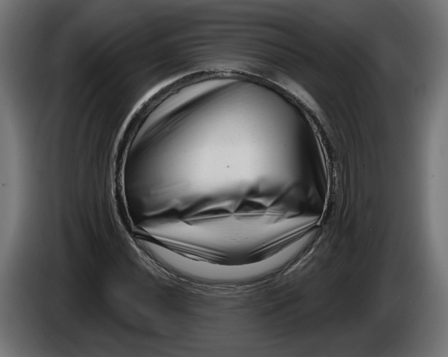 X0000086101020200704132143