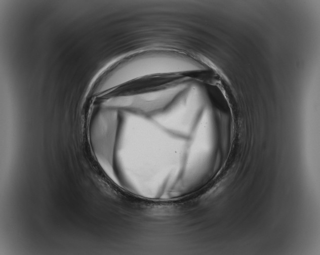X0000086101021200704132143
