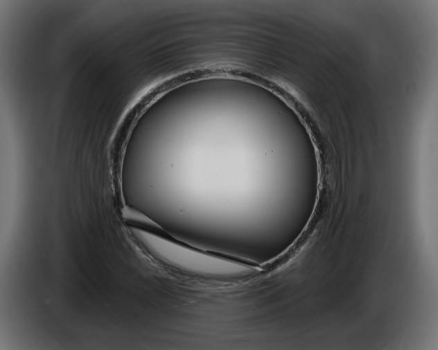 X0000086101022200704132143