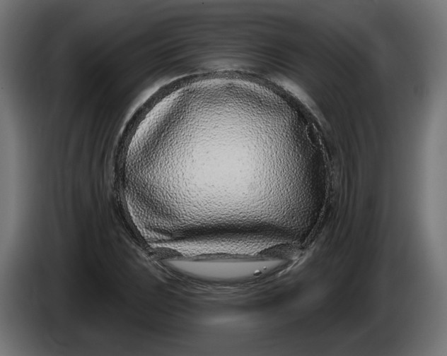 X0000086101023200704132143