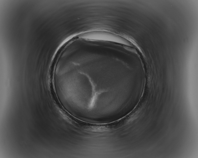 X0000086101024200704132143