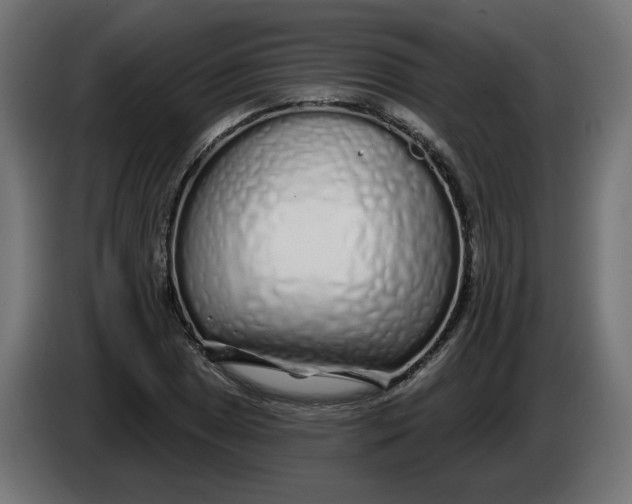 X0000086101025200704132143
