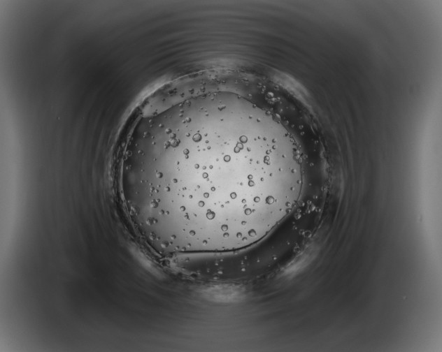 X0000086101026200704132143