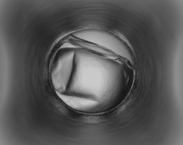 X0000086101027200704132143