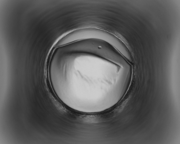 X0000086101028200704132143