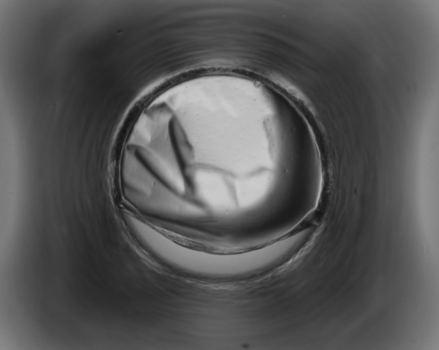 X0000086101029200704132143