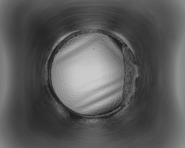 X0000086101031200704132143