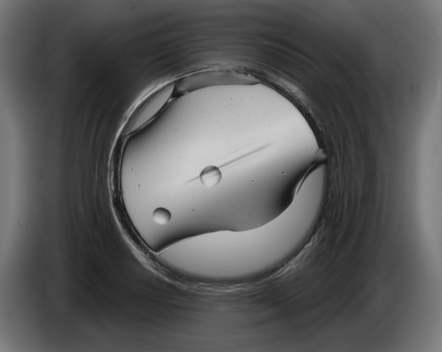 X0000086101034200704132143