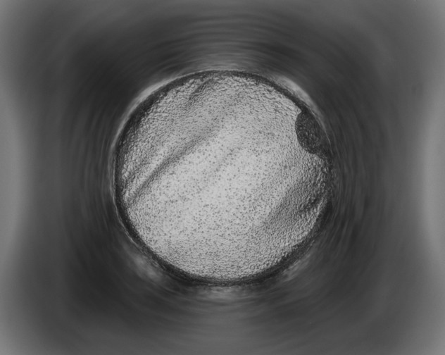 X0000086101035200704132143