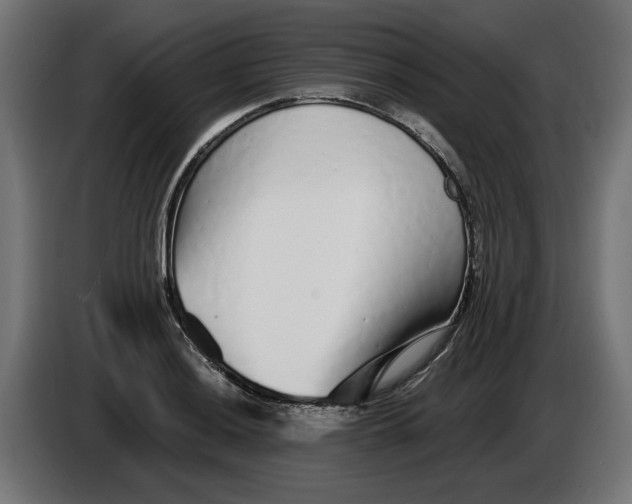 X0000086101036200704132143