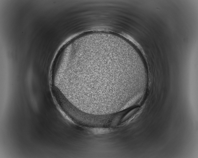 X0000086101037200704132143