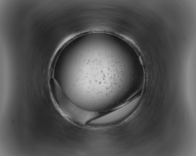 X0000086101038200704132143