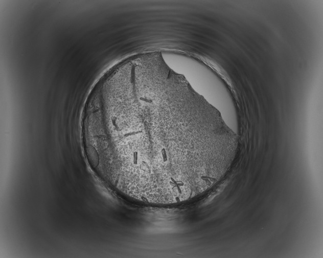 X0000086101039200704132143