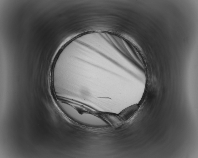 X0000086101040200704132143