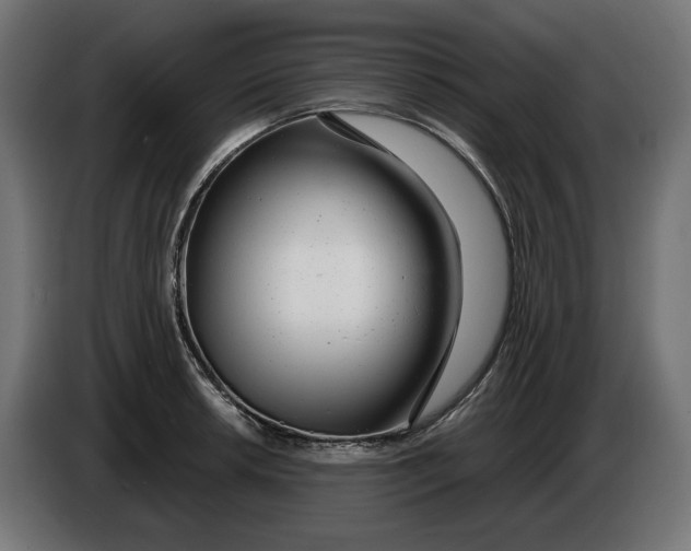 X0000086101042200704132143