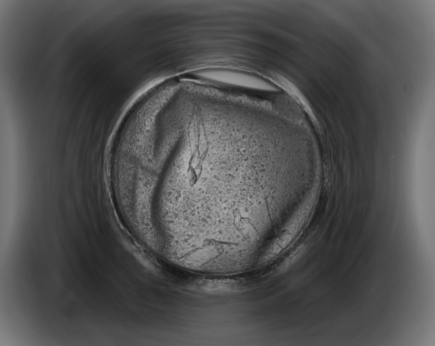 X0000086101043200704132143