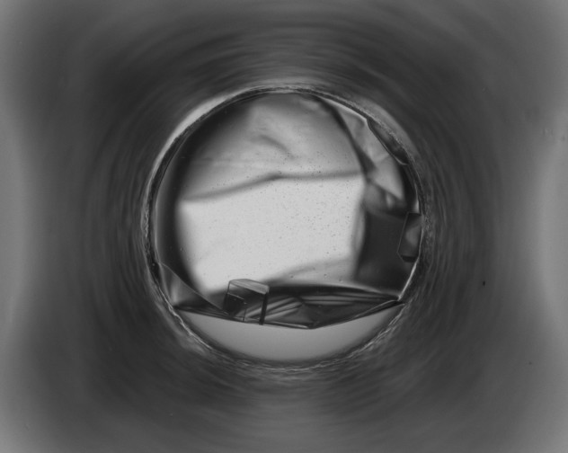 X0000086101044200704132143