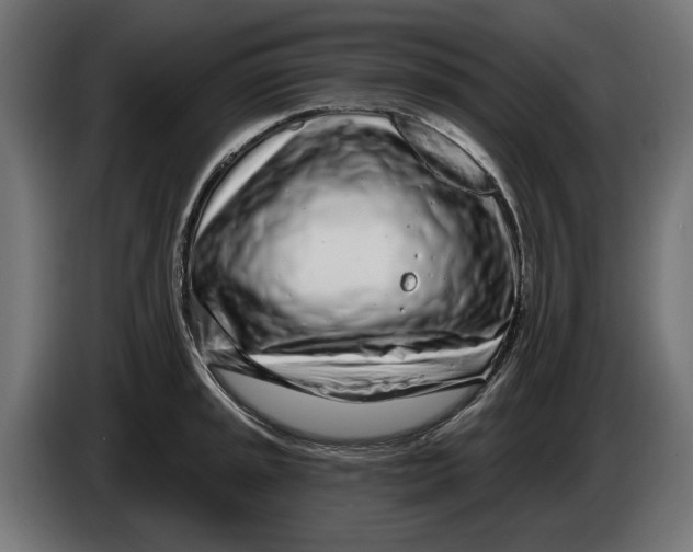 X0000086101045200704132143