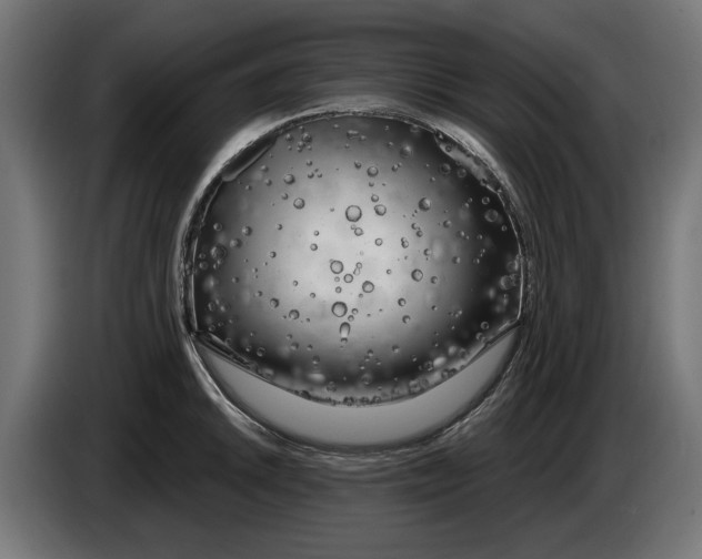 X0000086101046200704132143