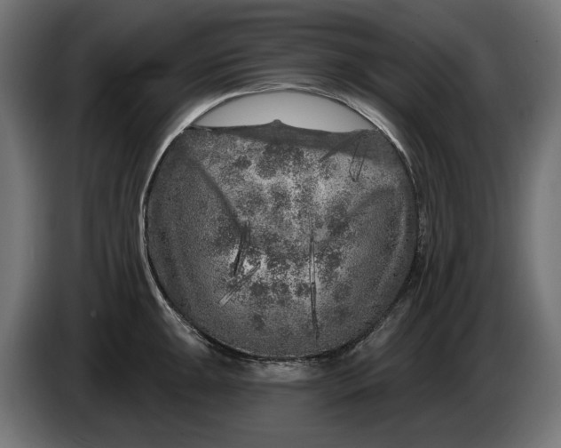 X0000086101047200704132143