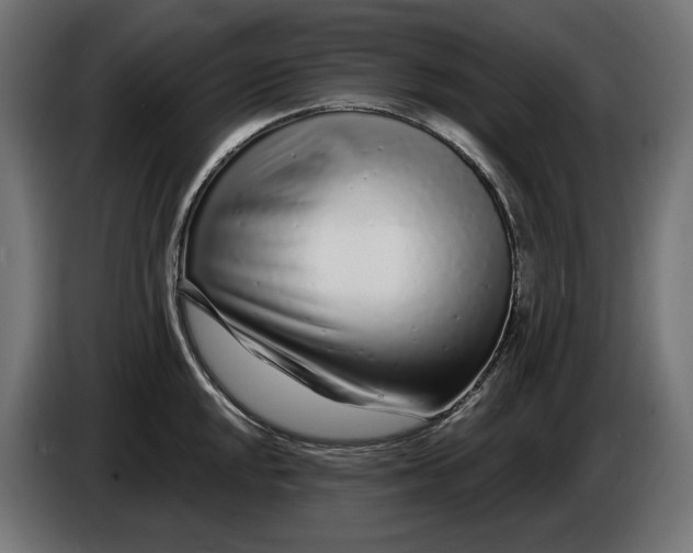 X0000086101048200704132143