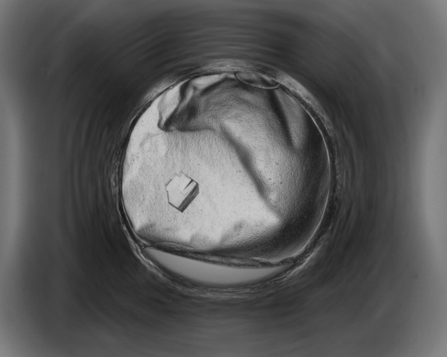 X0000086101049200704132143
