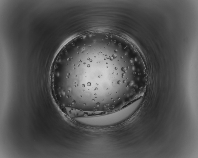 X0000086101050200704132143