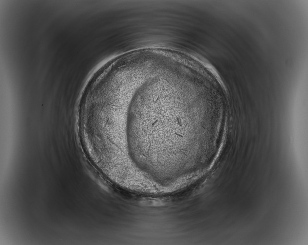 X0000086101051200704132143