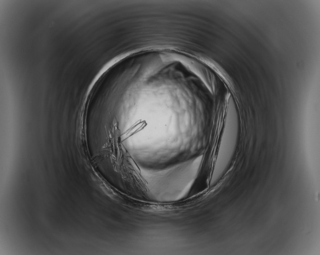 X0000086101052200704132143