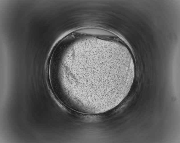 X0000086101053200704132143