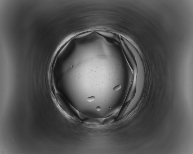 X0000086101054200704132143