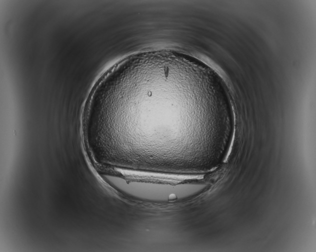 X0000086101055200704132143