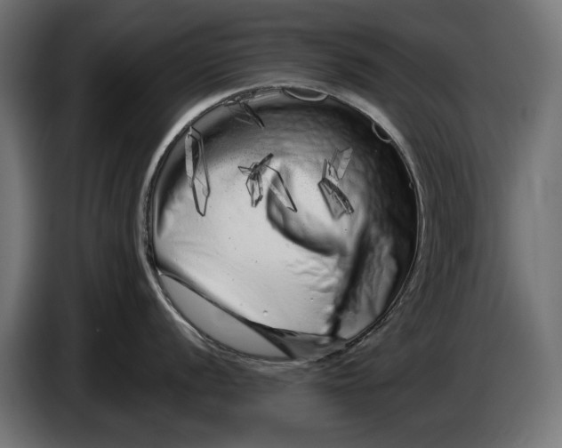 X0000086101056200704132143