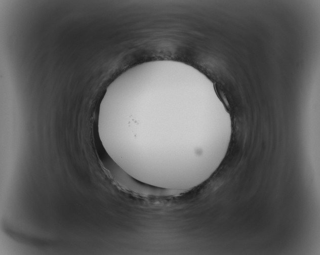 X0000086101057200704132142