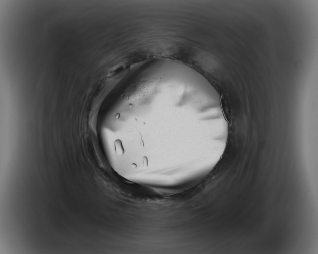 X0000086101058200704132142