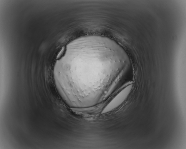 X0000086101059200704132142
