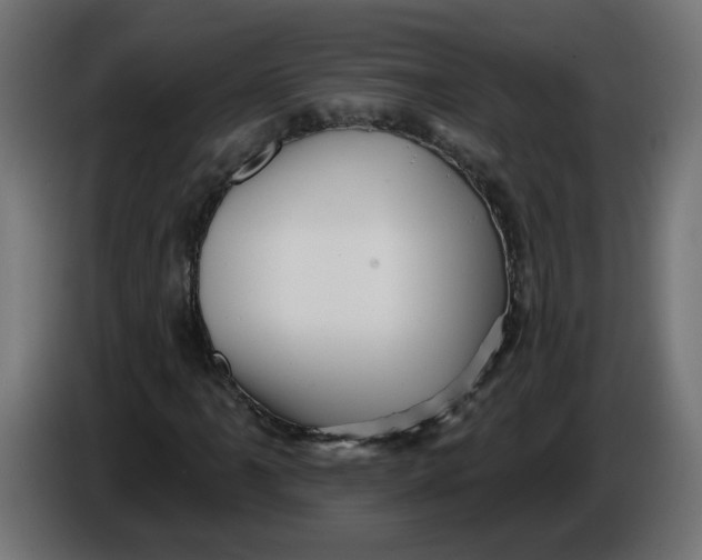 X0000086101061200704132142