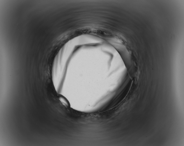 X0000086101062200704132142