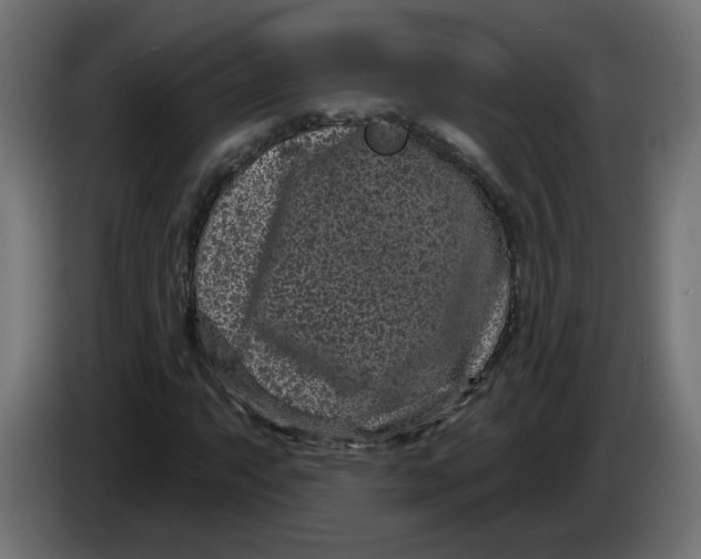 X0000086101063200704132142