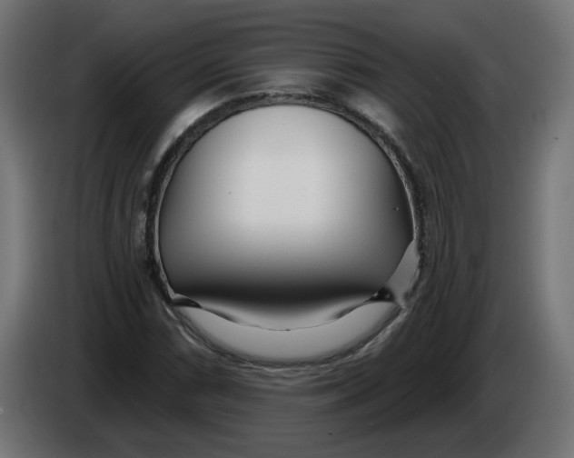 X0000086101066200704132142