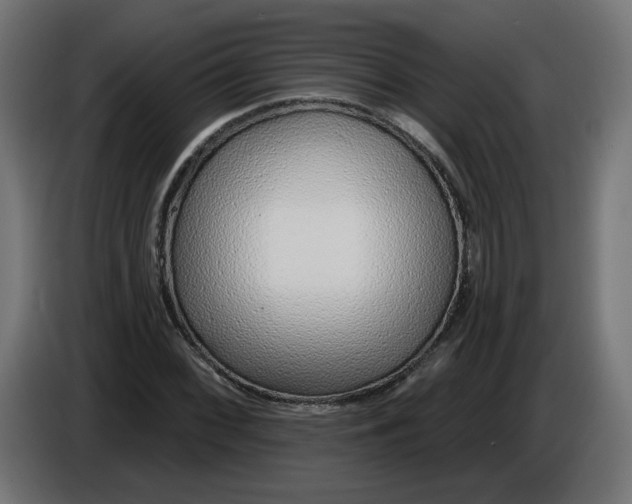 X0000086101068200704132142
