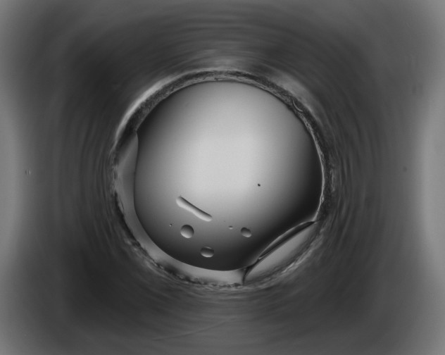X0000086101069200704132142