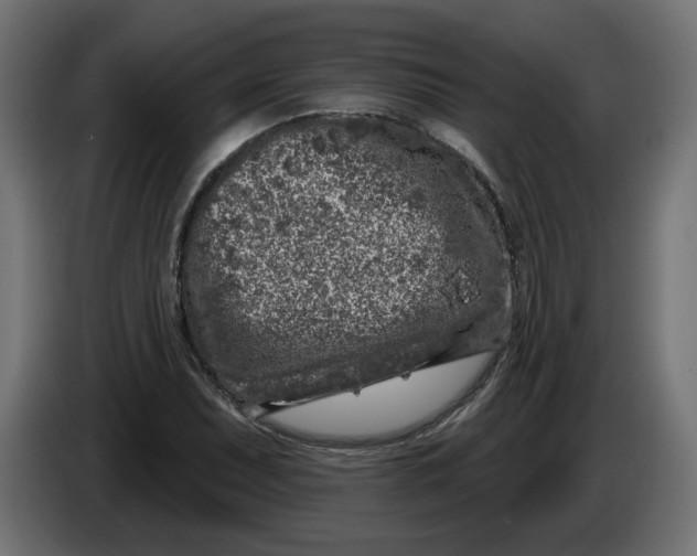 X0000086101071200704132142
