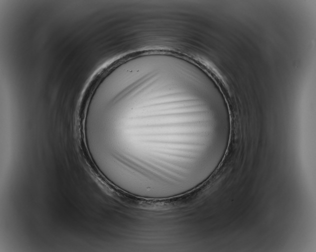 X0000086101072200704132142