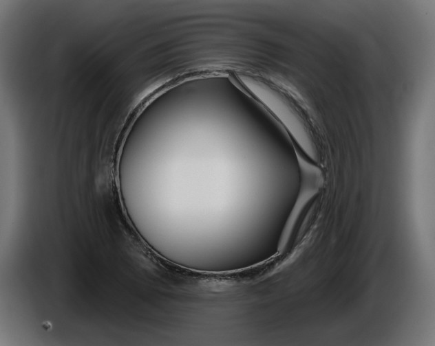 X0000086101073200704132142