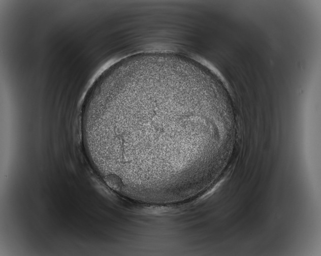 X0000086101075200704132142