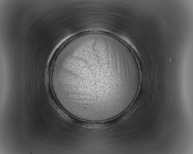 X0000086101076200704132142