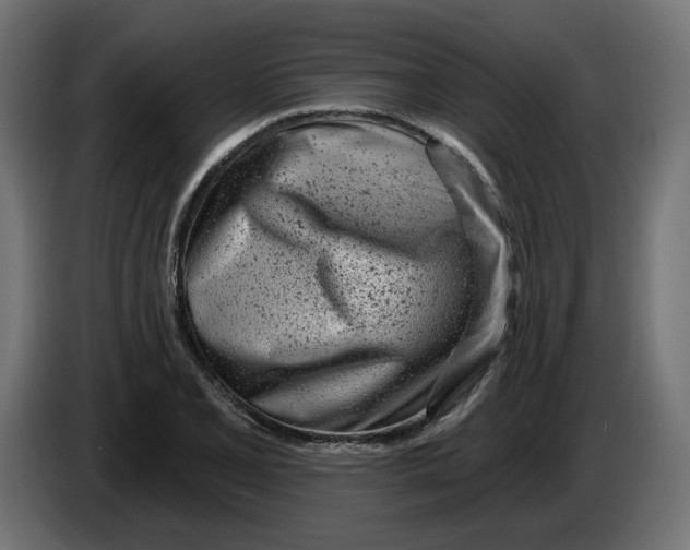 X0000086101077200704132142