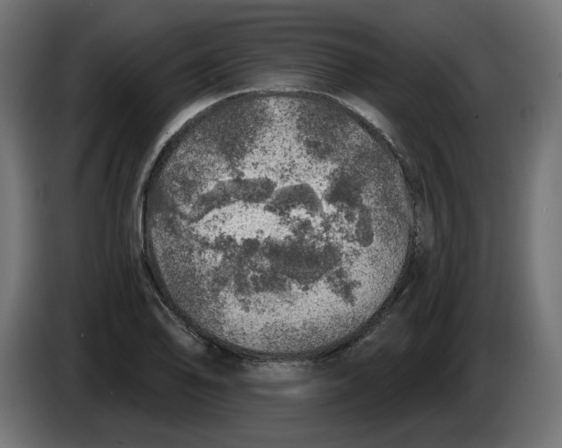 X0000086101078200704132142