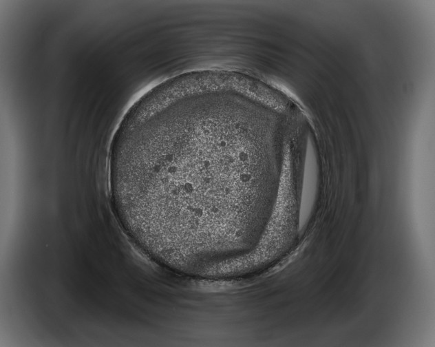 X0000086101079200704132142